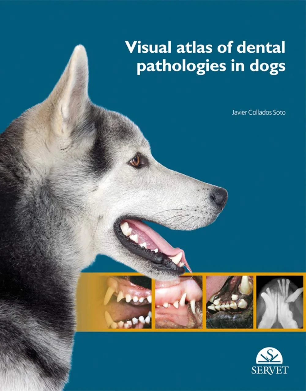 Coperta cărții "Visual Atlas of Dental Pathologies in Dogs" de autor necunoscut