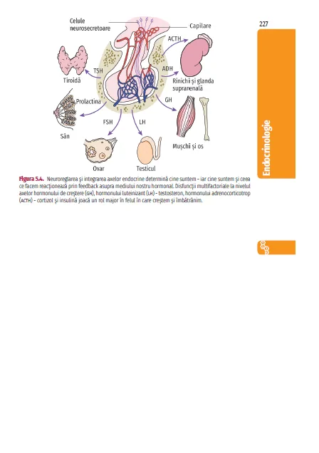 Coperta cărții "Manualul Oxford de Medicina Clinica" de autor necunoscut