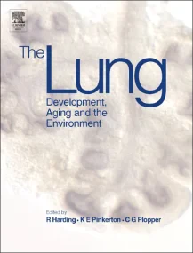 The Lung