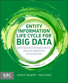 Entity Information Life Cycle for Big Data