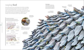 Micro Life: Miracles of the Miniature World Reveal...