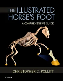 The Illustrated Horses Foot: A comprehensive...