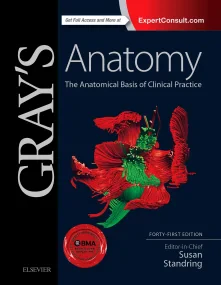 Gray s Anatomy: The Anatomical Basis of Clinical P...