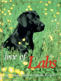 Love of Labs: The Ultimate Tribute to Labrador Ret...