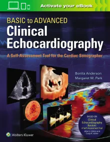 Basic to Advanced Clinical Echocardiography:A Self...