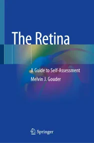 The Retina: A Guide to Self-Assessment