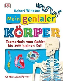 Mein genialer K&#246;rper: Teamarbeit vom Gehirn b...